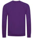 AC001 Purple Back